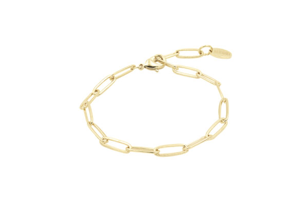Pulsera Link Big Oro