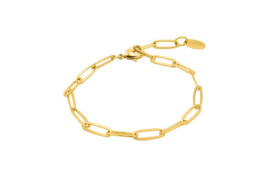 Link-Big-BR-Gold Link Big Bracelet Gold