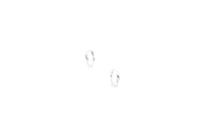 Spill Earrings Silver